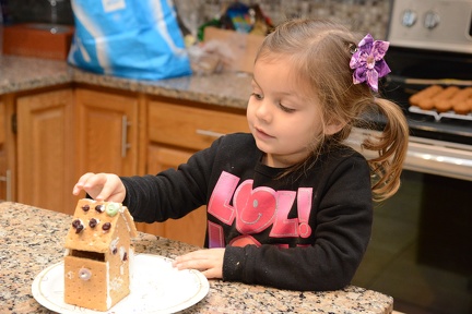 Making a gingerbread house2